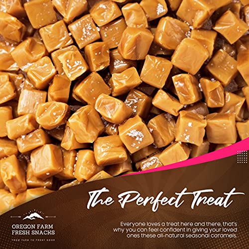 Salted Caramel Gourmet Candy (16 oz) M31622
