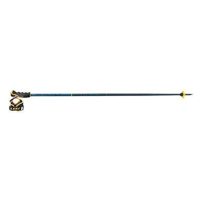 105 cm Ski Poles Q411402