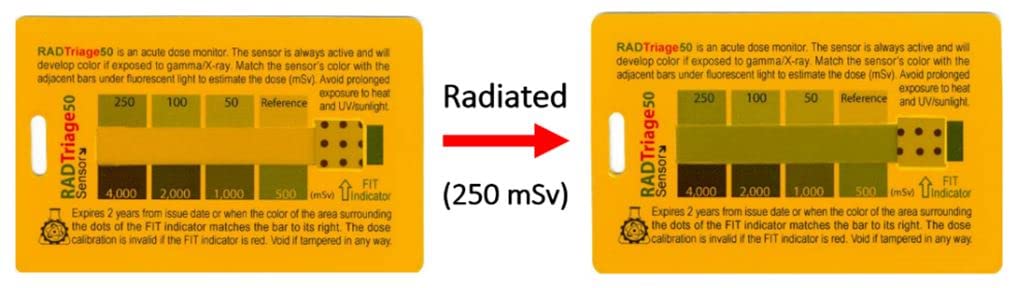 50 Personal Radiation Detector P446