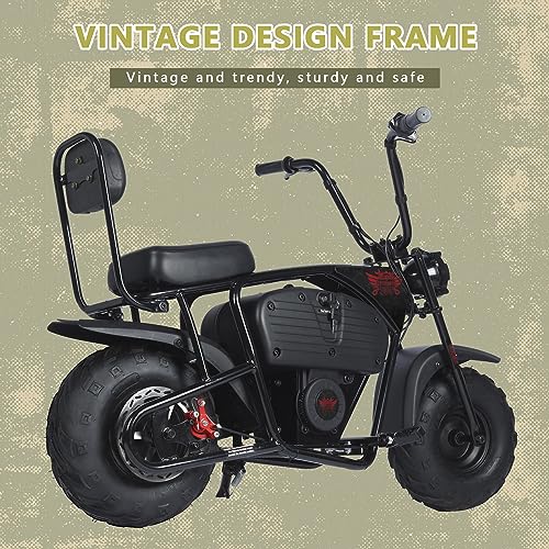 36V Battery Powered Mini Electric Bike for Kids K529