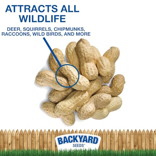 5 LB Bag Peanuts in Shell R97354