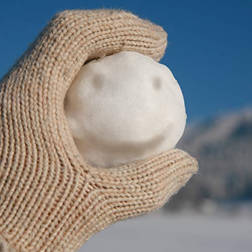 Set of 2 Snowball Maker Tool with Handle X38619