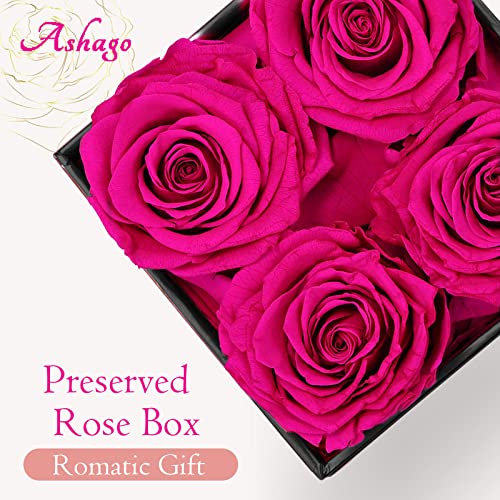 Square Black Box 4 Pink Preserved Roses M239806