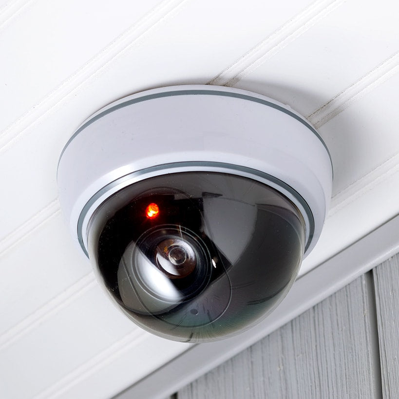 Realistic Security Dome Camera