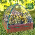 All-Weather Raised Garden Bed with Greenhouse Cover for Plants