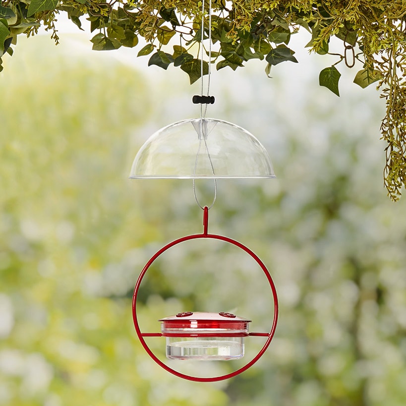 Red Hummingbird Feeder V971024