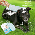 Pet Bath Gloves Set of 5 A576
