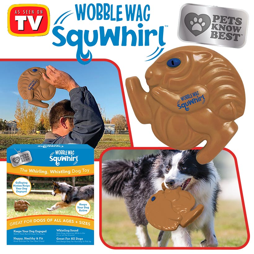 Whistling Disc Dog Toy R3812