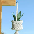 Outdoor Screw-In Hooks for String Lights and Hanging Baskets R74601