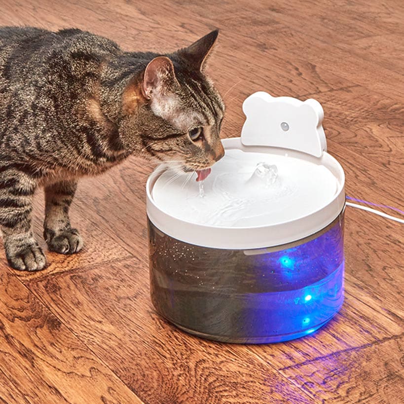 Pet Water Fountain I19137