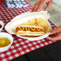 25-Pk. Foldable Perfect Plate
