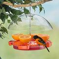 Oriole Food and Nectar Feeder W6015