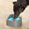 No Spill Dog and Cat Water Bowl 35 Oz Z85705