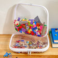Clear Hard Plastic Zipper Container for Travel - 2-Pk.