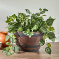Barrel Shaped Planter Indoor or Outdoor 15" dia x 9"H