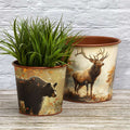 Large Lodge Themed Decor with Elk and Bear O940