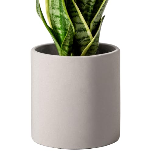 Gray 5 Inch Cement Plant Pots with Drainage Hole Z63971