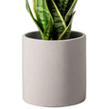 Gray 5 Inch Cement Plant Pots with Drainage Hole Z63971