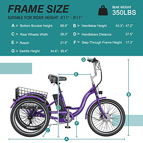 Electric Trike 7 Speeds 350W 36V 3 Wheel Electric Tricycle I80486