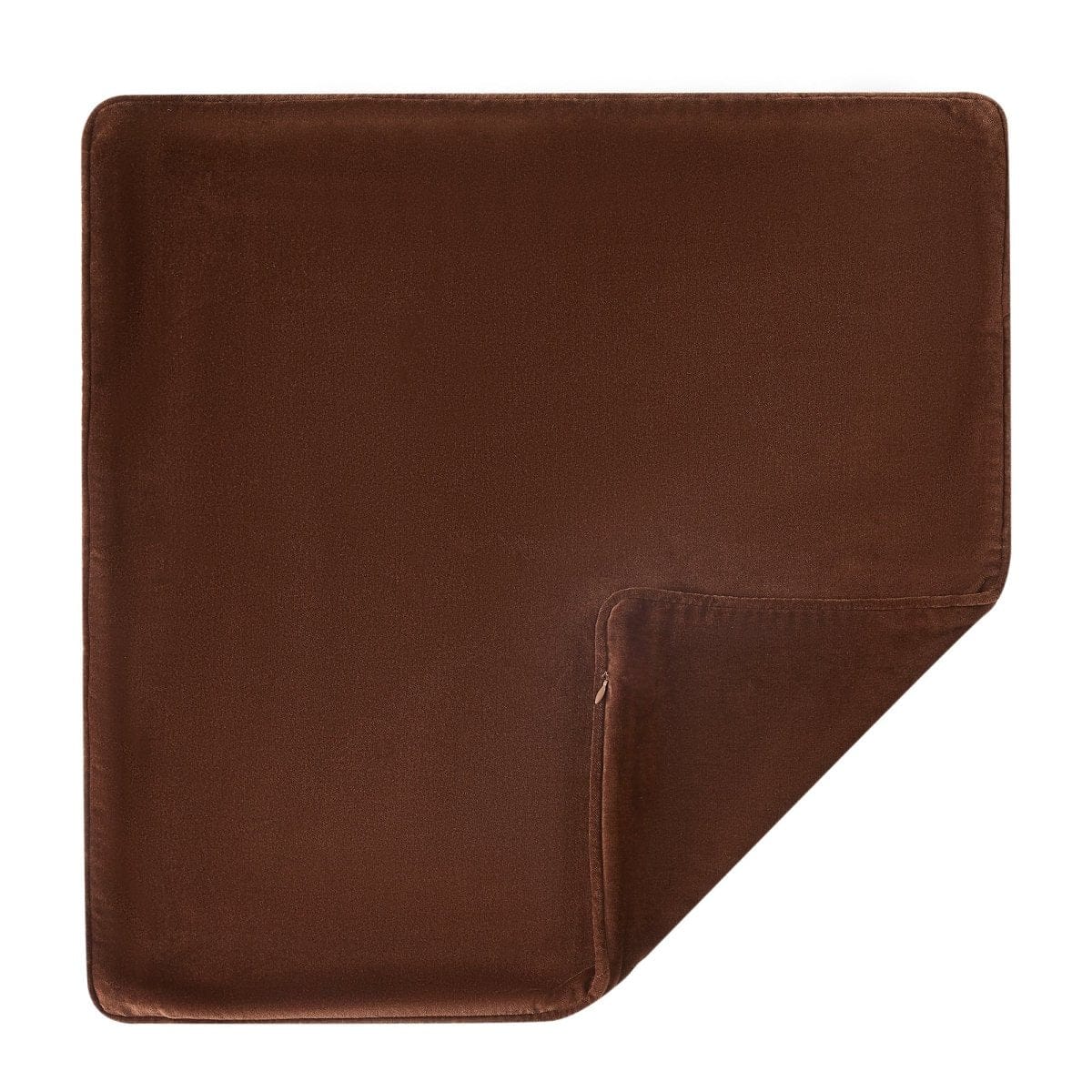 Terran Velvet Decorative Pillow Cover