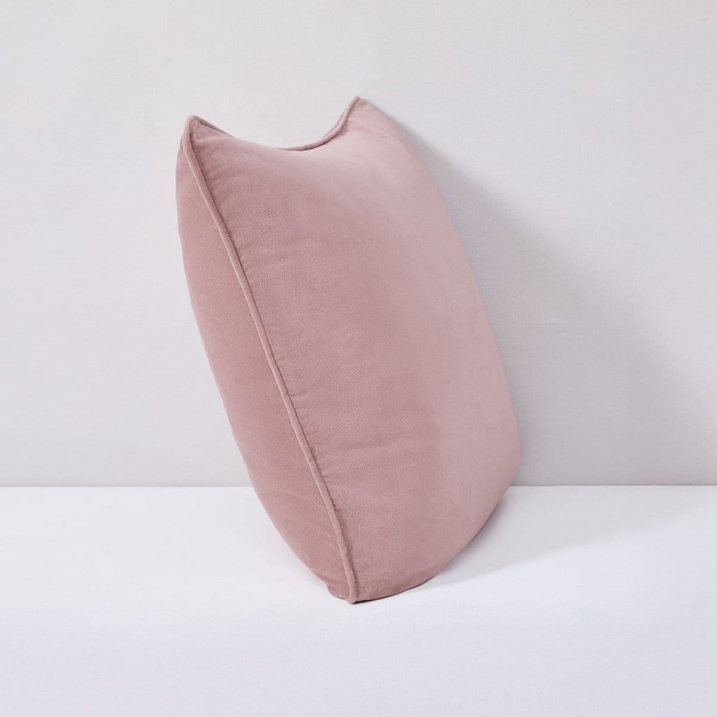 Terran Velvet Decorative Pillow Cover