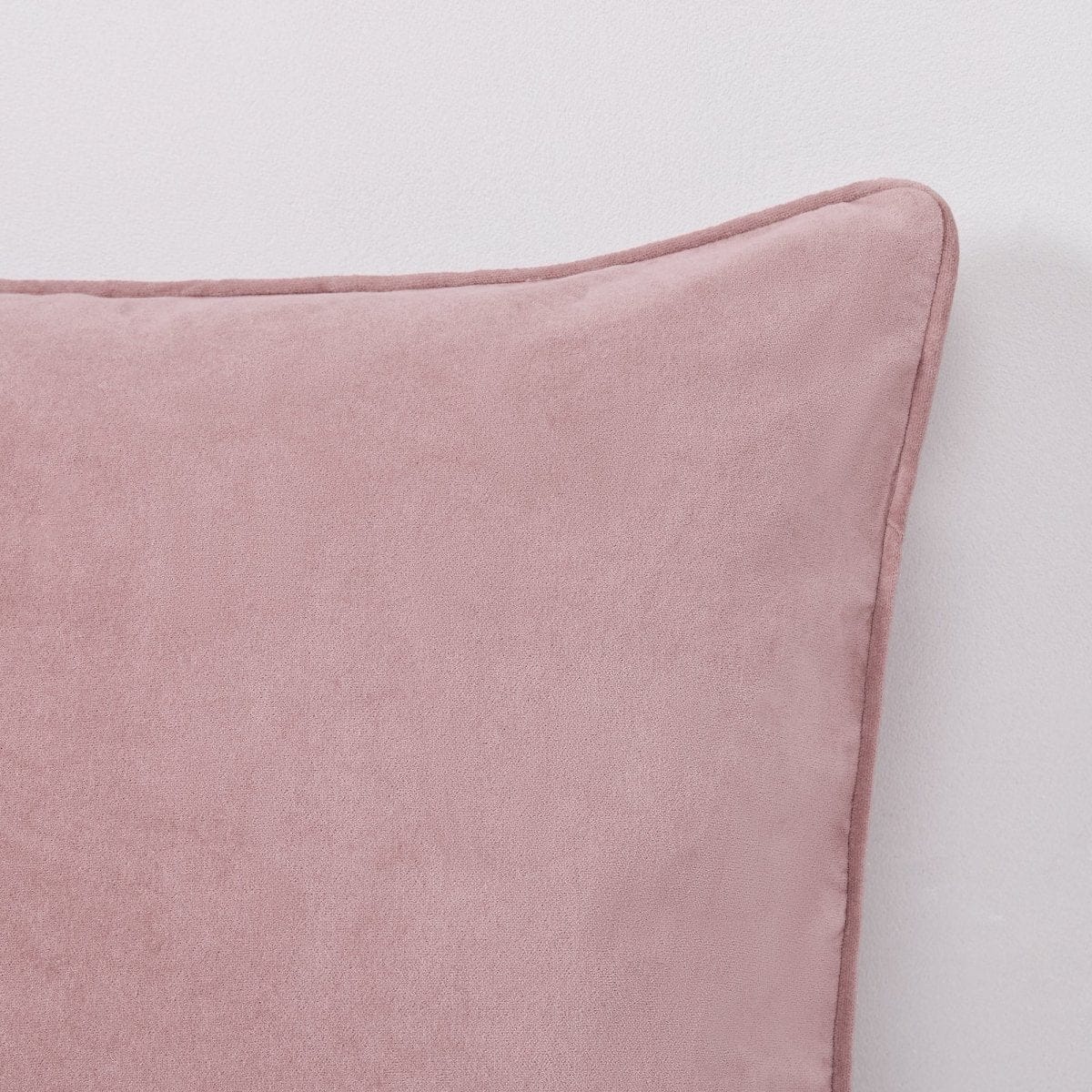 Terran Velvet Decorative Pillow Cover