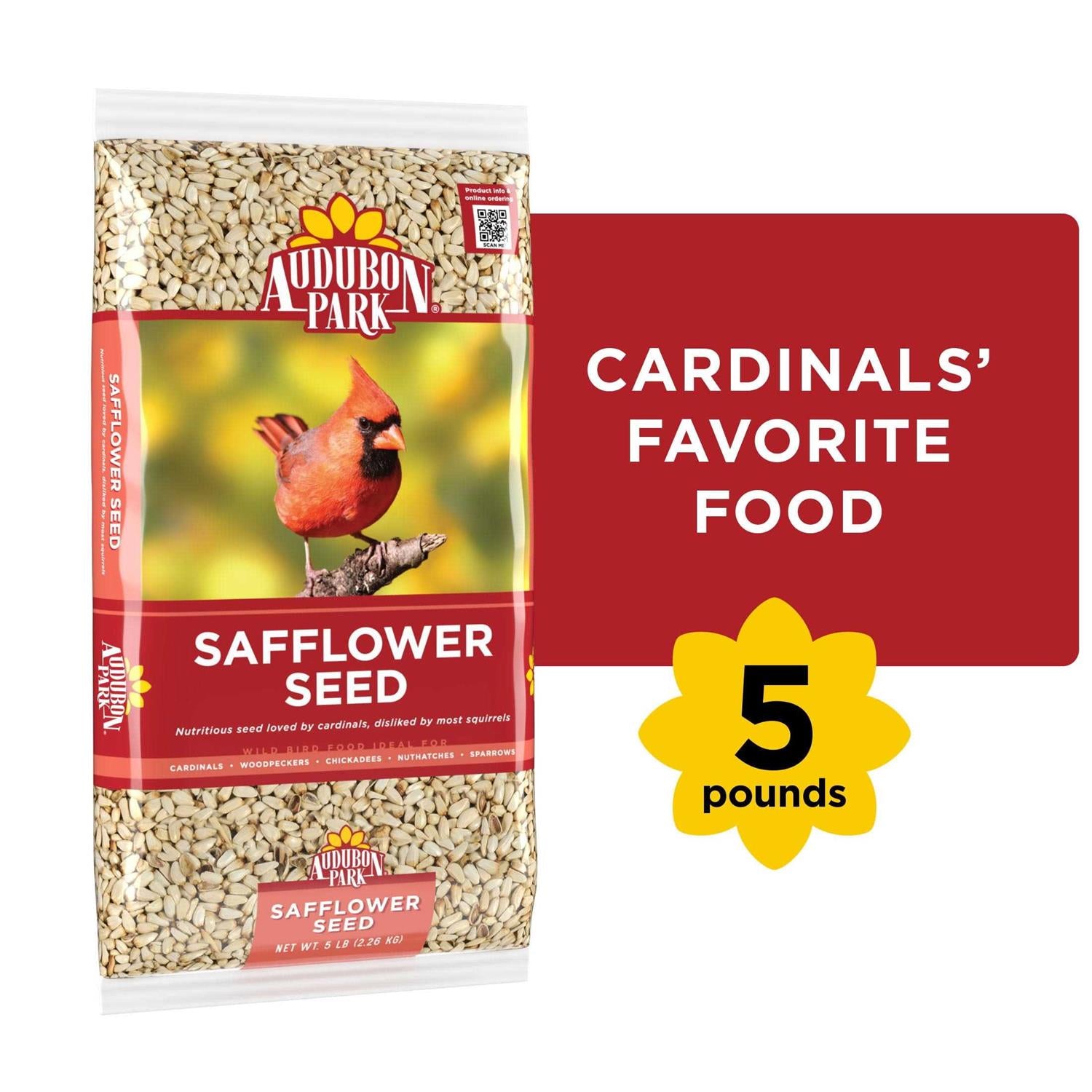 Safflower Seed Wild Bird Food V273168