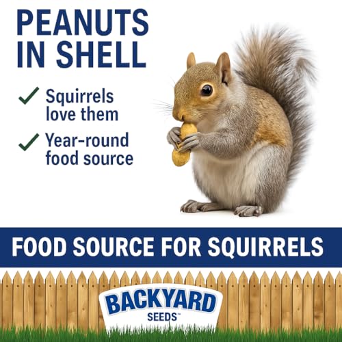 5 LB Bag Peanuts in Shell R97354