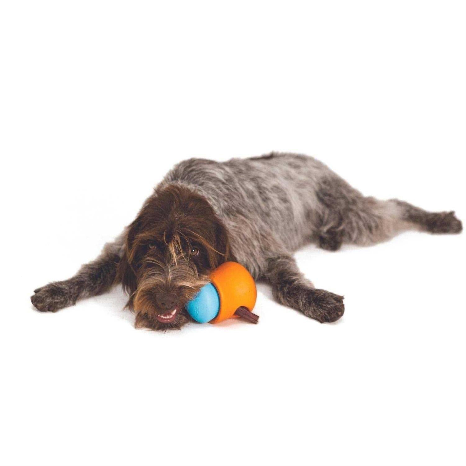 Toppl Dog Toy Z72577