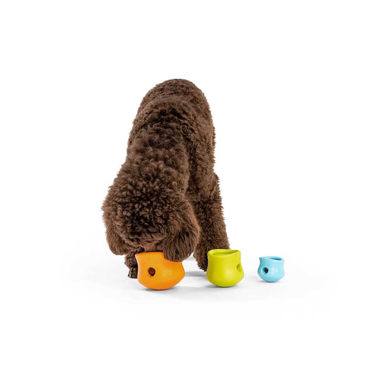 Toppl Dog Toy Z72577