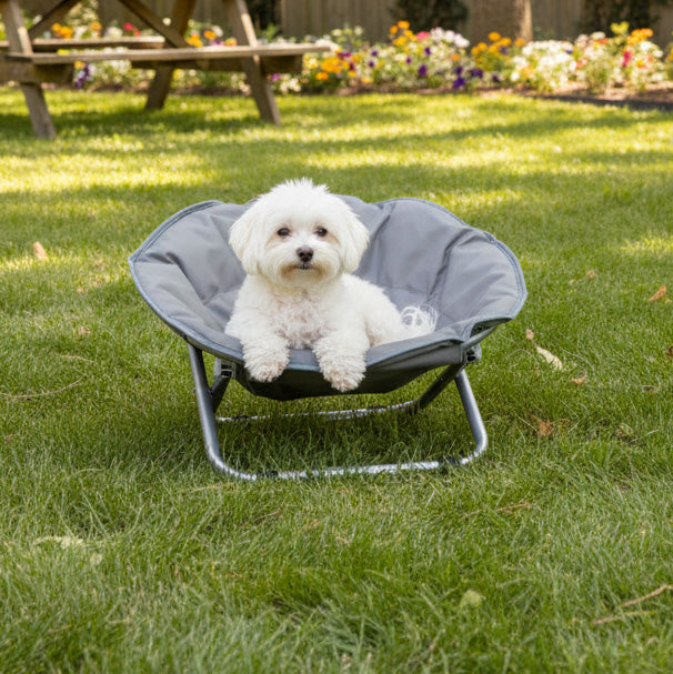 Foldable Elevated Pet Bed Chair Y36378