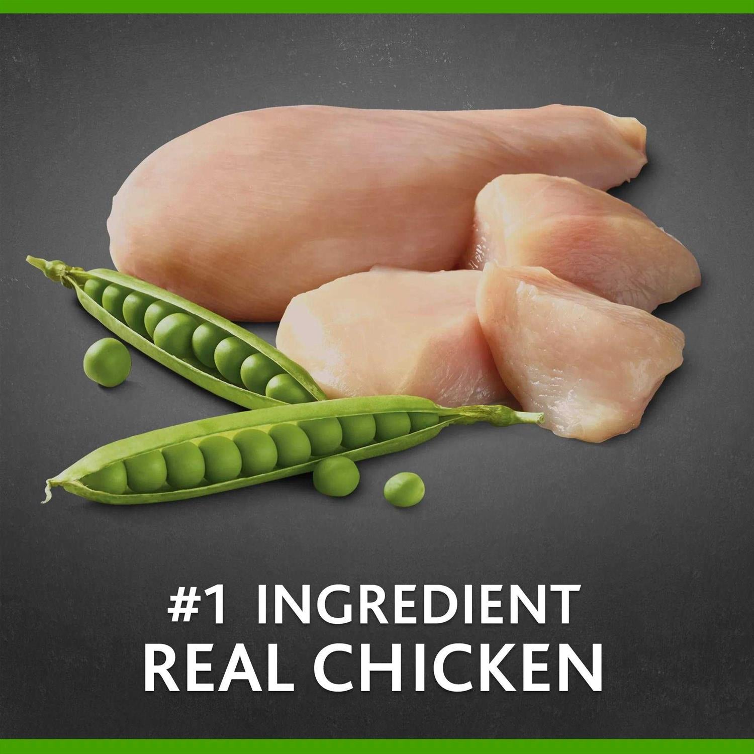 Small Breed Chicken & Pea Recipe Dry Dog Food V31333