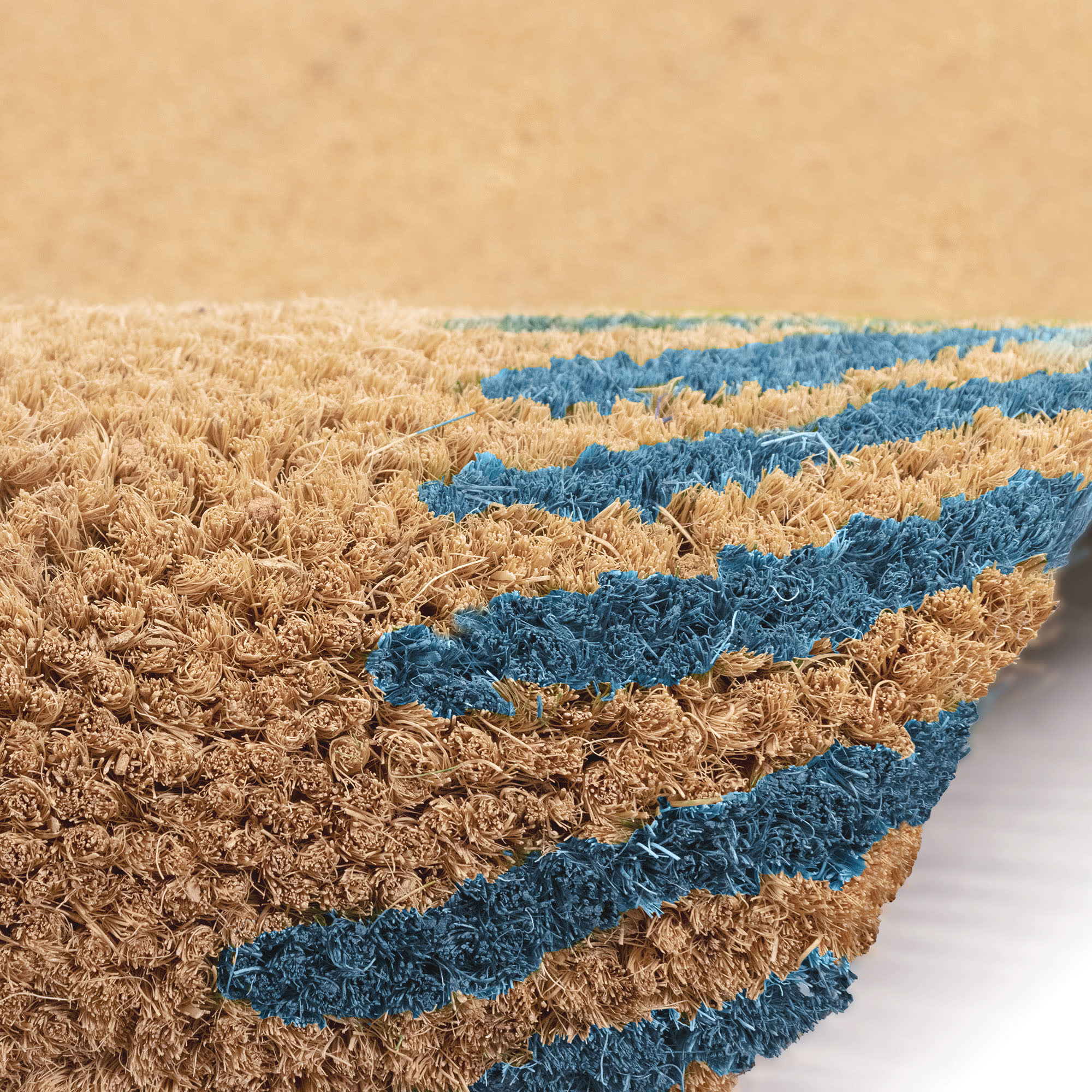 Natura Palm Border Coir Doormat with Non-Slip Backing