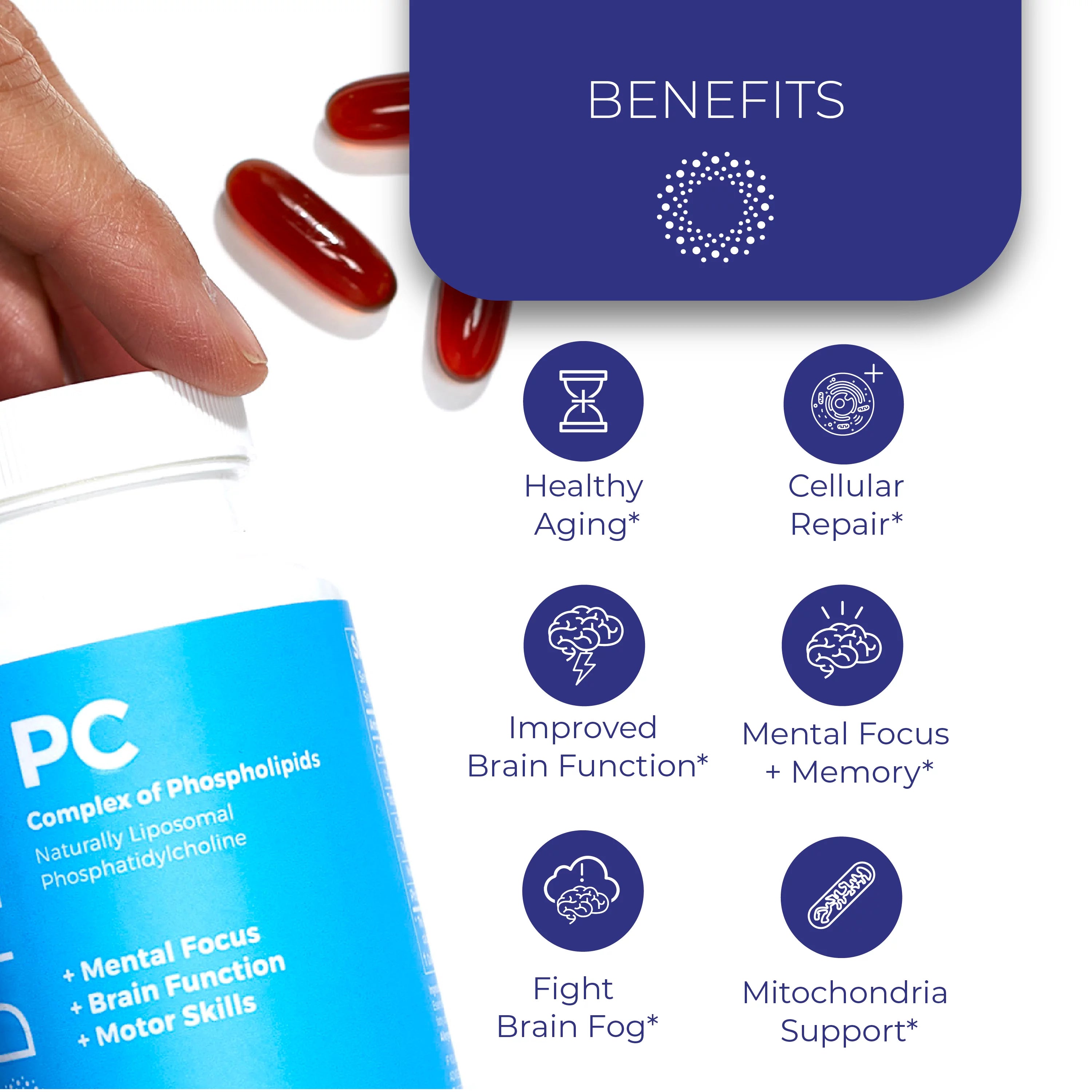 8 fl. oz. Phosphatidylcholine Supplement K666