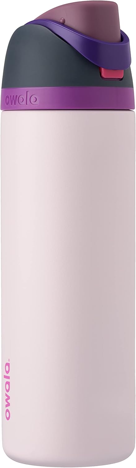 24oz 32oz Insulated Stainless Steel Water Bottles with Straw and Spout E46520