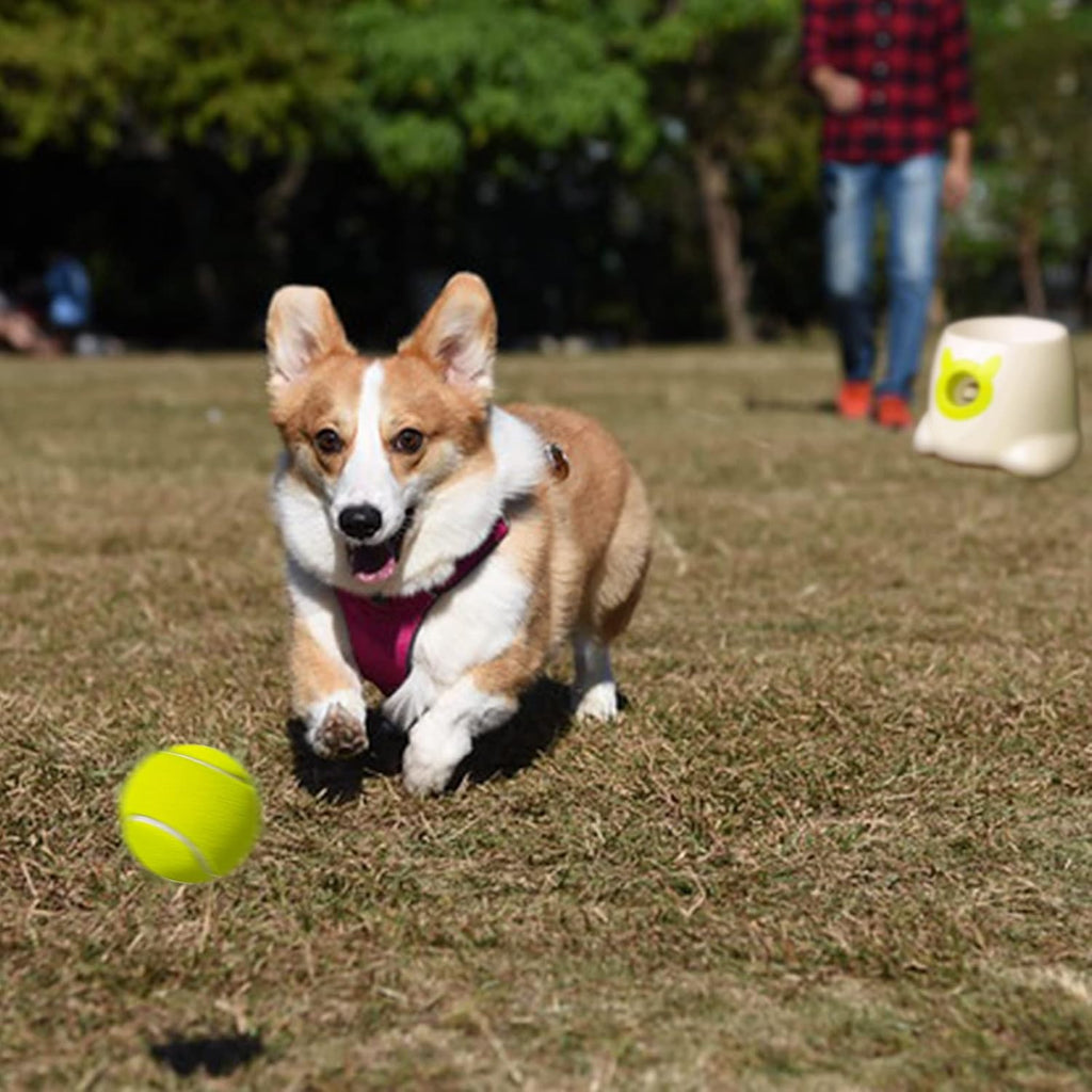 6 Pcs 1.97" Diameter Mini Tennis Balls for Dogs K984957