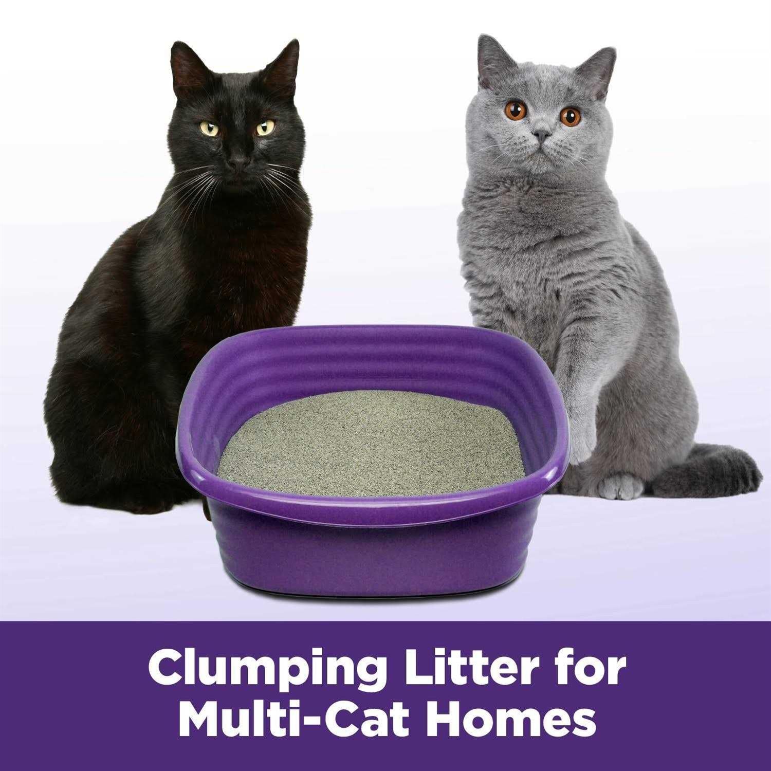 Slide Easy Clean-Up Clumping Cat Litter O742178
