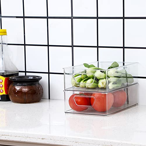 2 Pack Clear Plastic Stackable Storage Bin C98172
