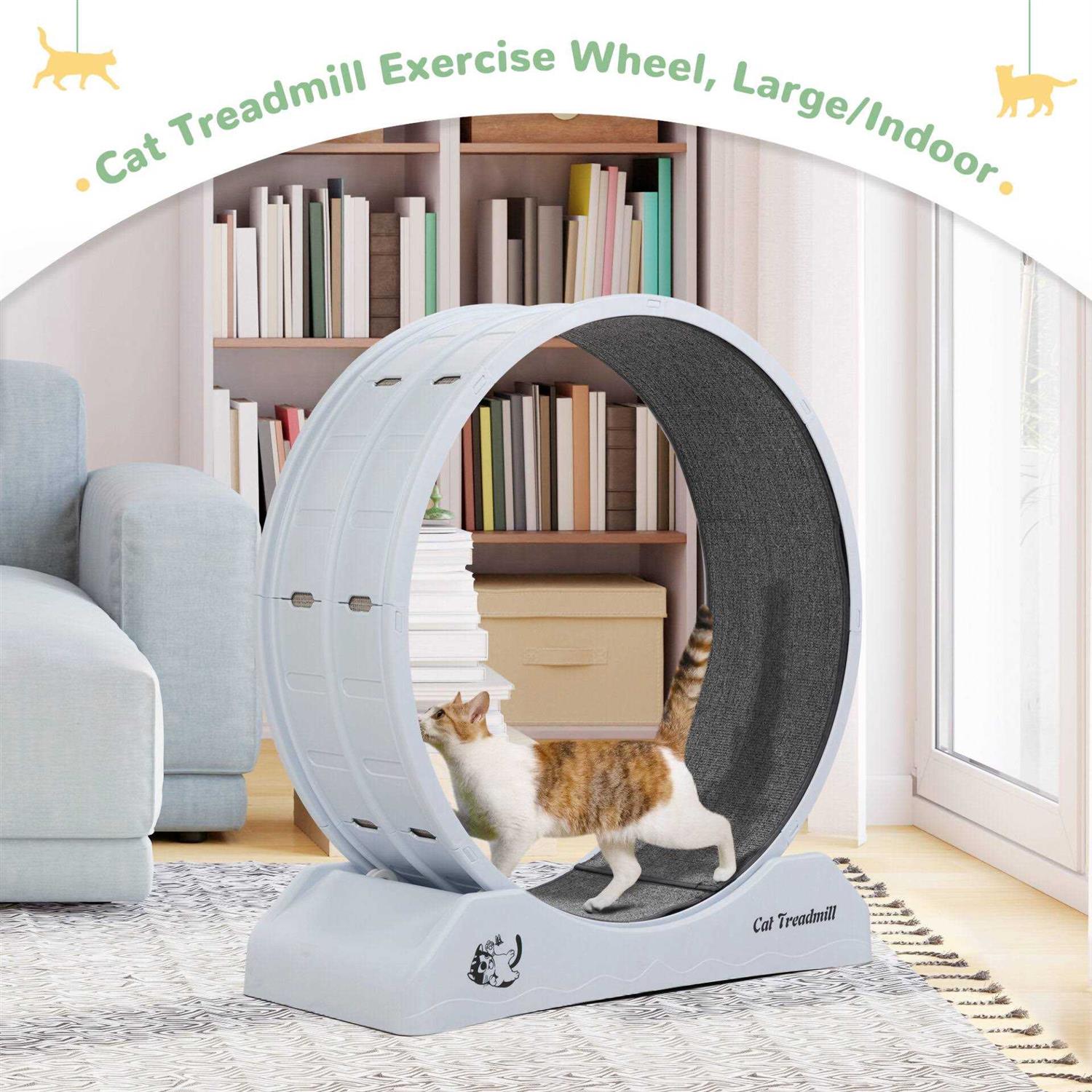 31.5L Cat Exercise Wheel with Locking Mechanism Q5079