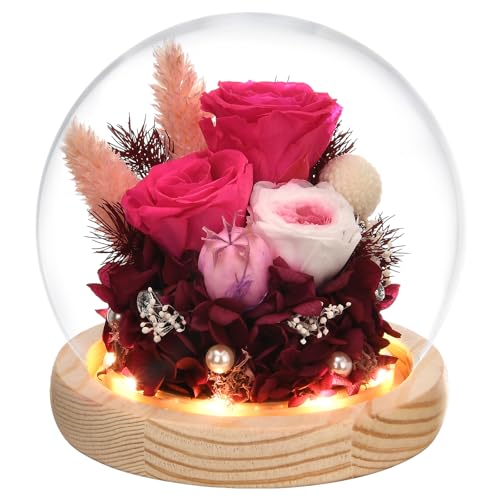 Preserved Real Rose in Glass Dome with LED Light U264