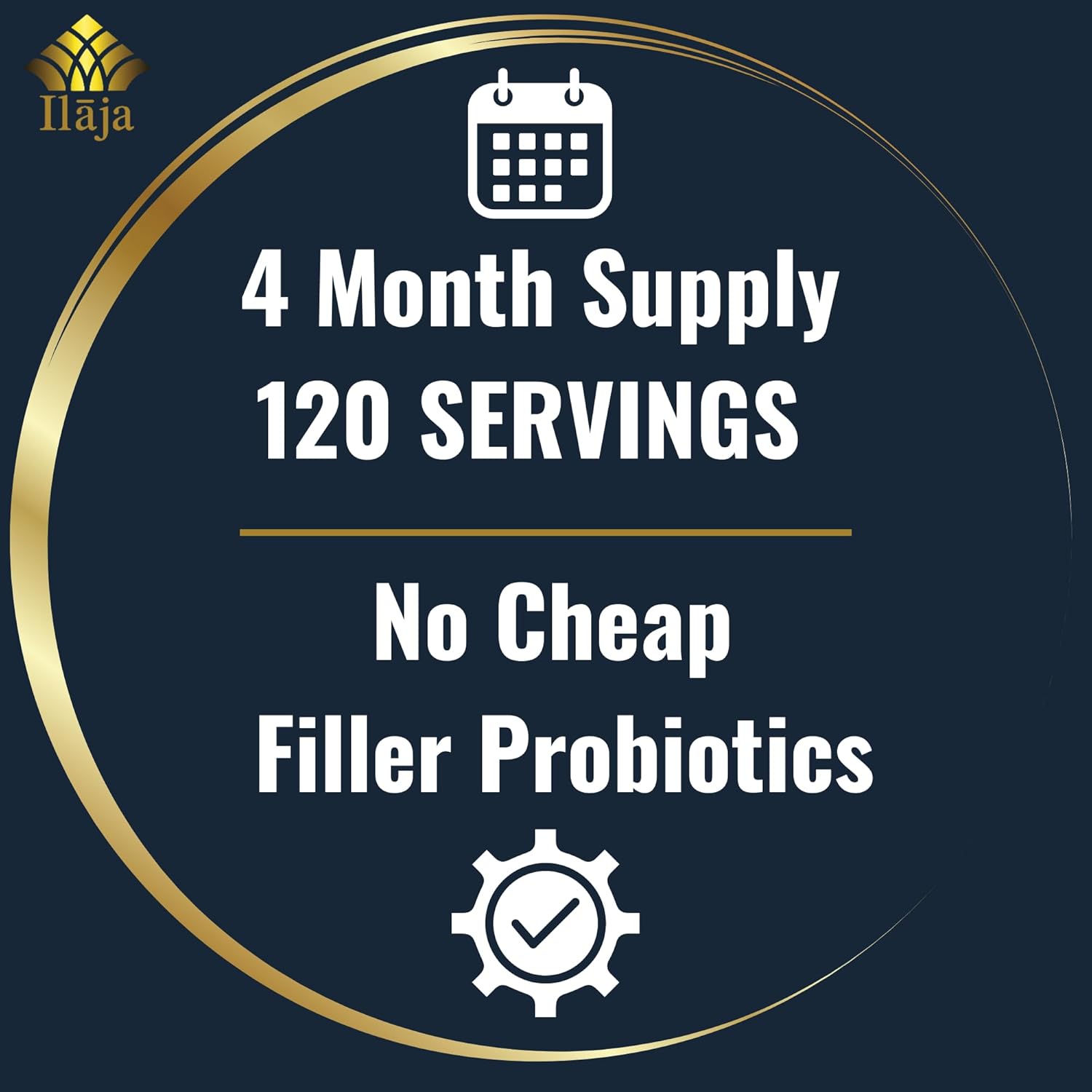 Spore Based Probiotic 120 Capsule C656