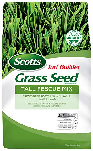 Tall Fescue Grass Seed Mix with Fertilizer and Soil Improver, 5.6 lbs. H867