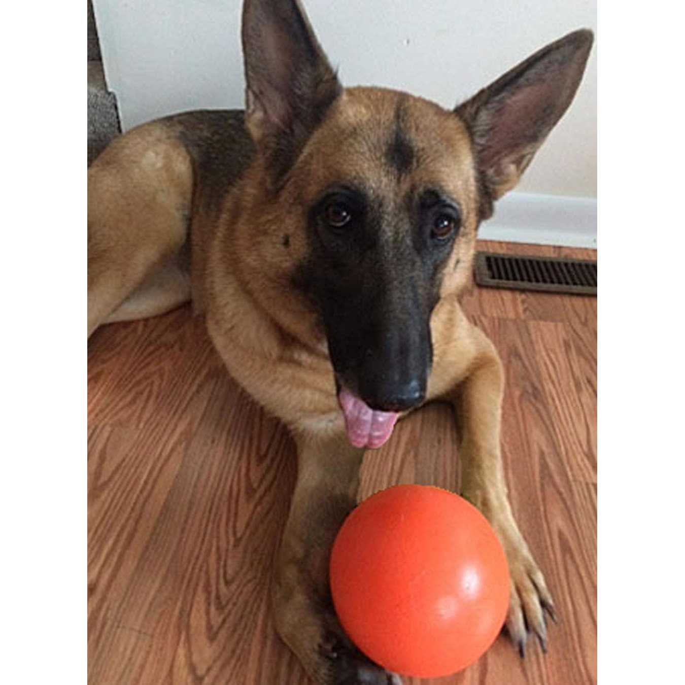 6-in Dog Toy M407