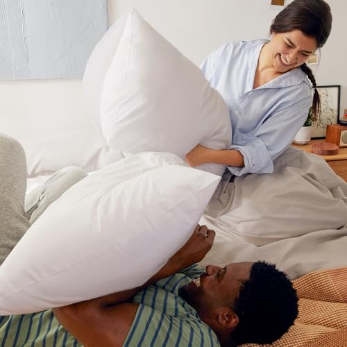 King White Two Pack Pillow D9857