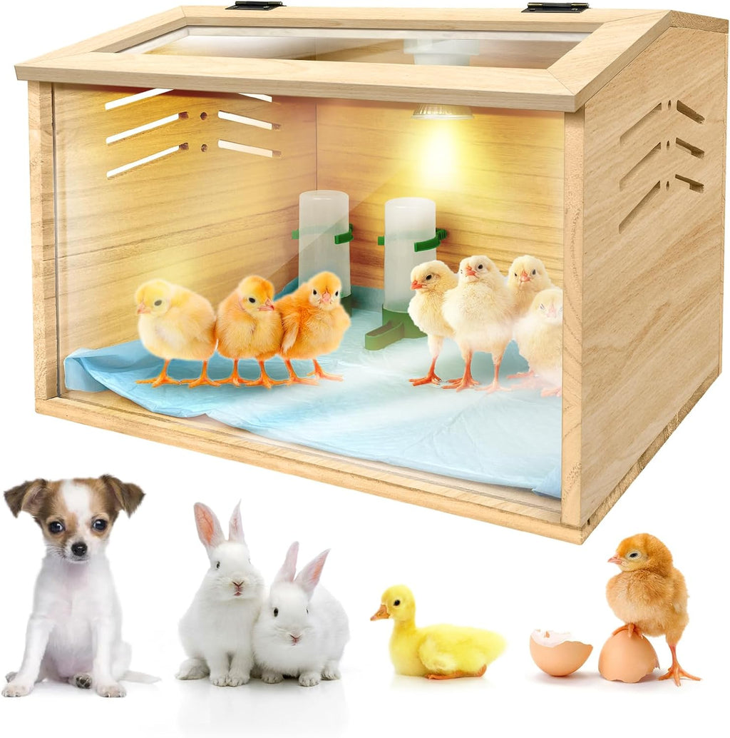 Chicken brooder Box, 15.7 X 12 X 12 inches Z326