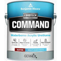 Waterborne Acrylic Urethane L310721