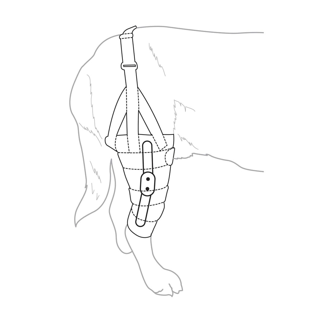 Metal Hinged Knee Brace for Dogs E475