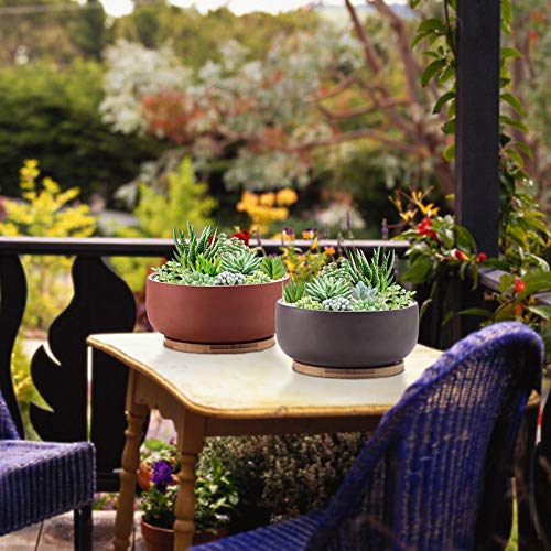 8 Inch Terracotta Clay Planter Pot with Bamboo Tray F51498
