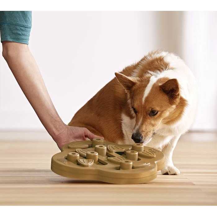Hide N Slide Puzzle Dog Toy N313970