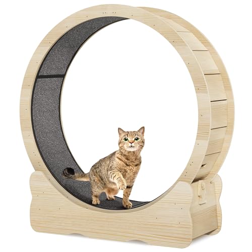 43.3 Inch Solid Wood Cat Exercise Running Wheel with Carpeted Runway G77205